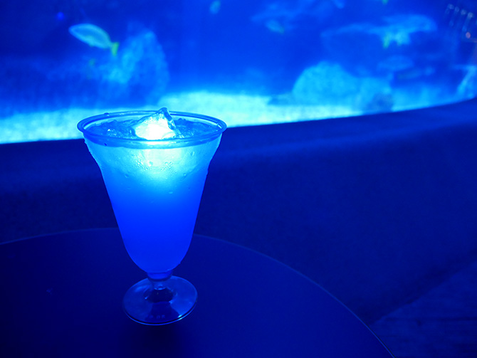 （画像提供：すみだ水族館）