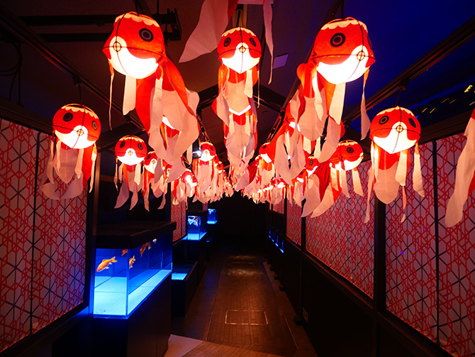 （画像提供：すみだ水族館）