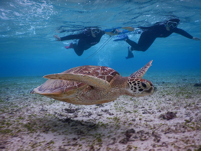 （画像提供：SEA ENJOY）