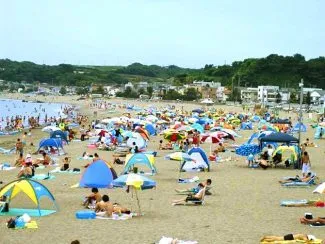 三浦海岸のおすすめ観光スポット8選！日帰りドライブやグルメを堪能【2021・神 …