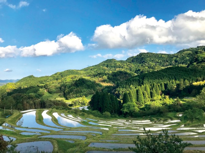 大山千枚田