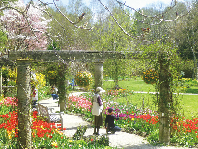 蓼科高原バラクラ イングリッシュガーデン