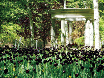 蓼科高原バラクラ イングリッシュガーデン