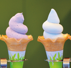 道の駅 ビーナスライン蓼科湖