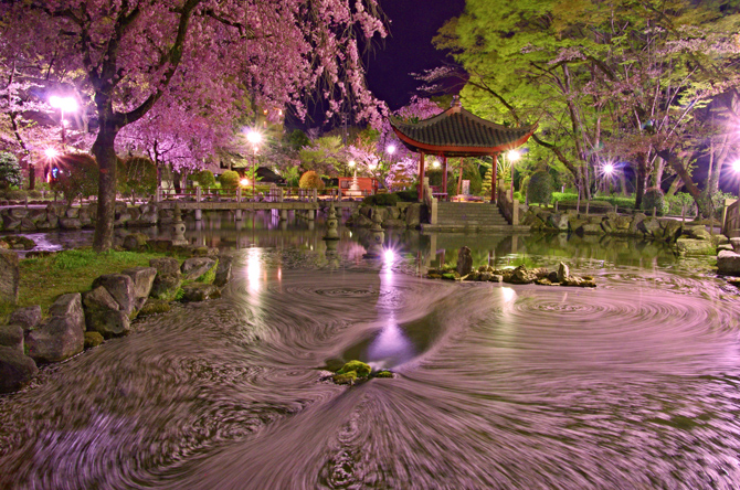 岐阜公園・日中友好庭園