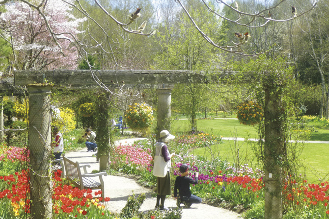 関東近郊 春のお花畑13選 4月5月見頃の絶景はgw観光にもおすすめ 21 じゃらんニュース