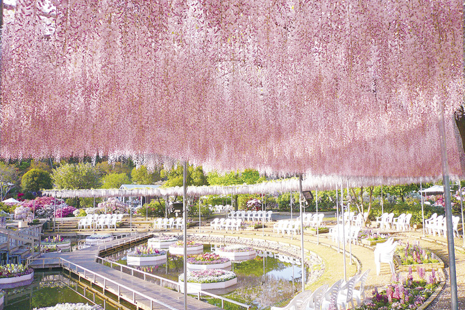 関東近郊 春のお花畑13選 4月5月見頃の絶景はgw観光にもおすすめ 21 じゃらんニュース