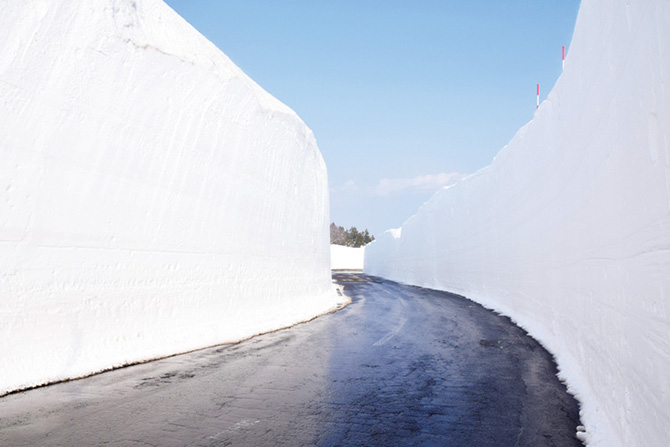 八甲田 雪の回廊
