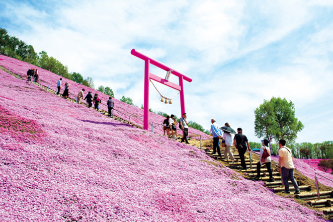 ひがしもこと芝桜公園