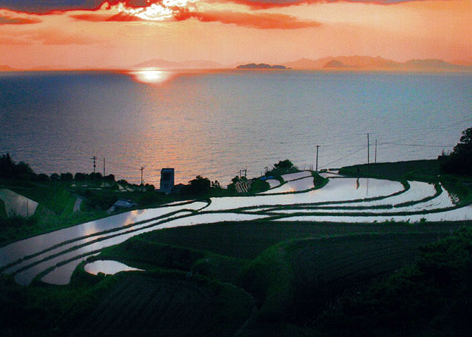 (画像提供:伊予市観光協会)