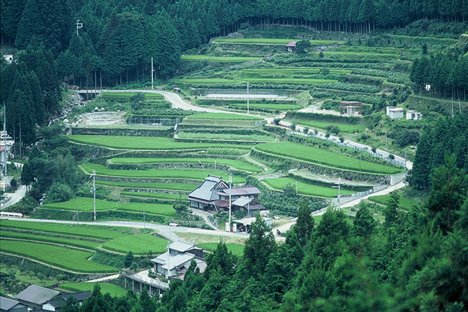 (画像提供:多可町)