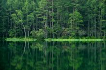 【全国】緑の絶景スポットおすすめ25選！自然が魅せる「色の世界」を満喫