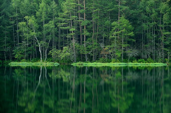 【全国】緑の絶景スポットおすすめ25選！自然が魅せる「色の世界」を満喫