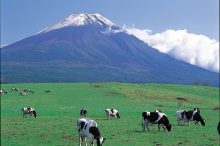 富士山が見えるおすすめ絶景スポット22選！美しい写真が撮れる公園や観光地など＜関東…