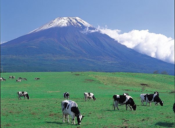 富士山が見えるおすすめ絶景スポット22選！美しい写真が撮れる公園や観光地など＜関東・東海＞