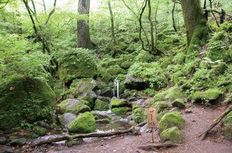 男池湧水群