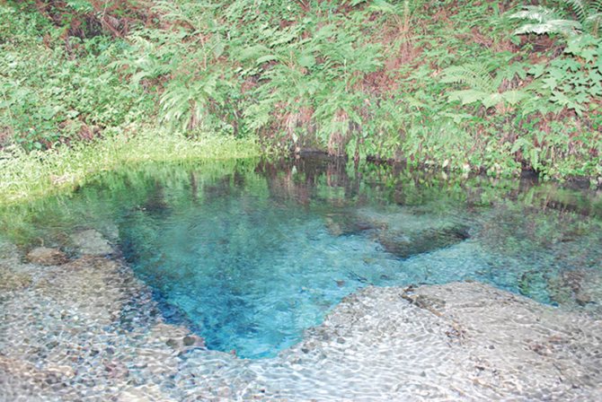 男池湧水群