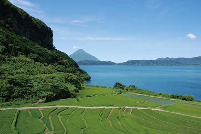 新永吉の棚田