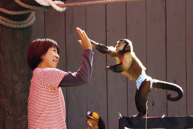 伊豆シャボテン動物公園