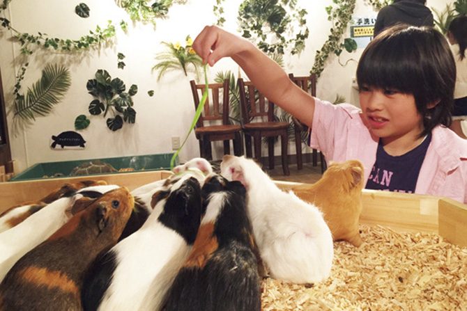 伊豆シャボテン動物公園