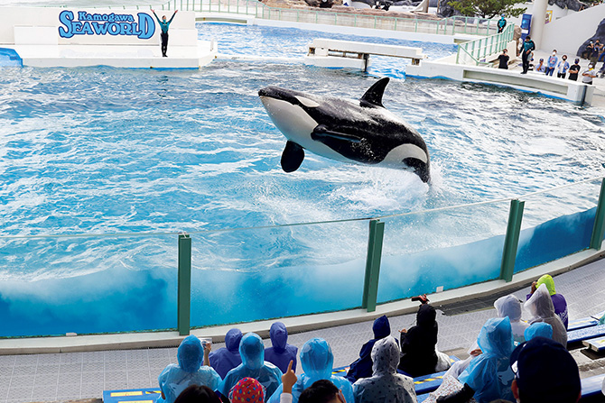 全国 子連れ旅行で行きたい 人気観光地のおすすめスポット73選 21 2 じゃらんnet