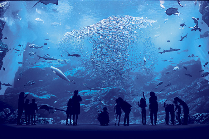 仙台うみの杜水族館