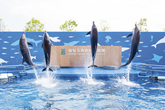 仙台うみの杜水族館