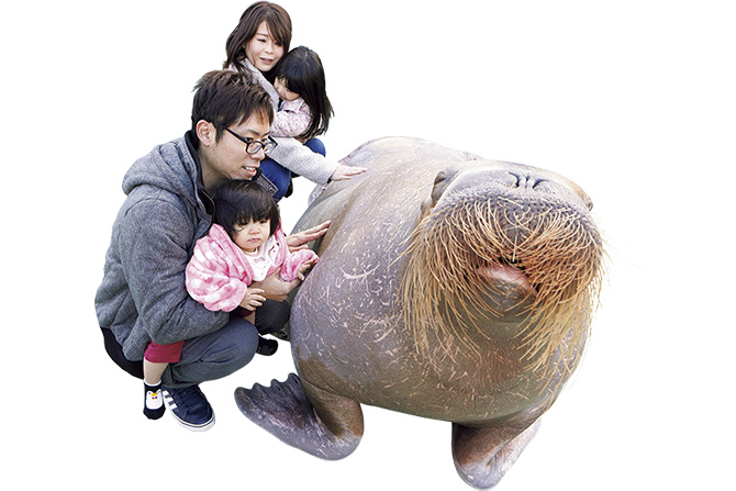伊勢シーパラダイス
