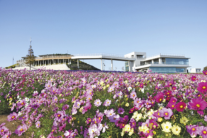 兵庫県立公園 あわじ花さじき