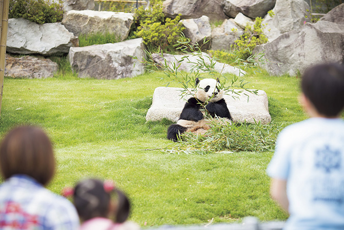 アドベンチャーワールド