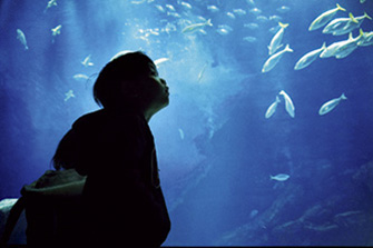 マリンワールド 海の中道