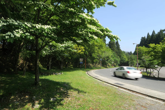 比叡山ドライブウェイのおすすめスポット