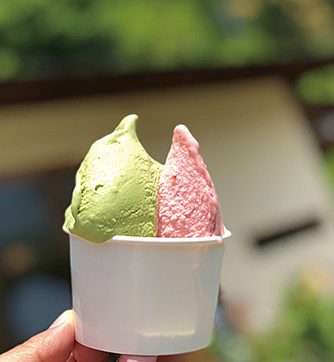 キミノーカ