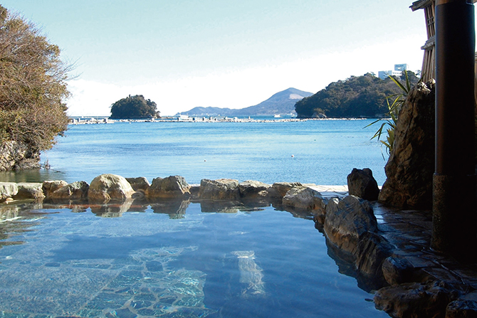 伊勢神宮のお膝元 鳥羽 胡蝶蘭