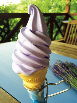 夢ハーベスト農場