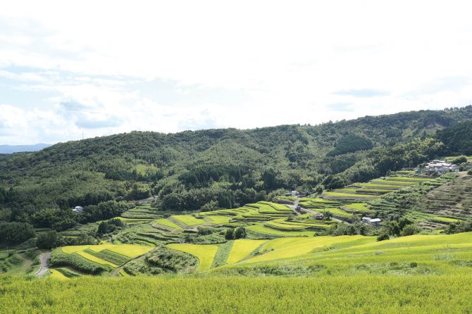 内成棚田