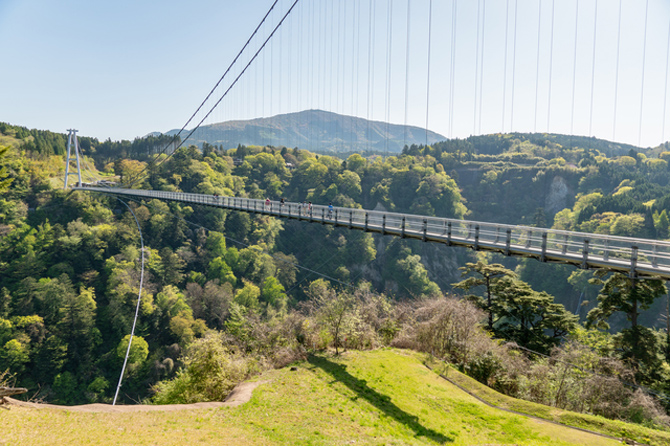九重“夢”大吊橋
