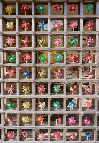 道の駅 レストセンター あわくらんど