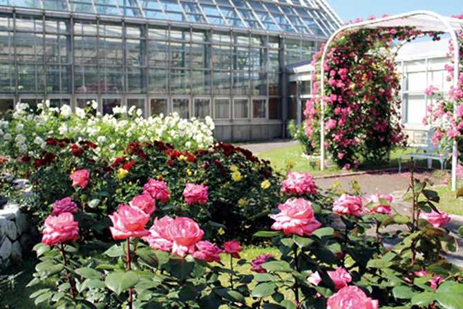 道の駅うつのみや ろまんちっく村