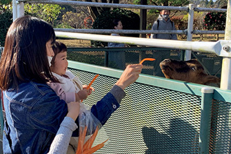 道の駅 ぐりーんふらわー牧場・大胡