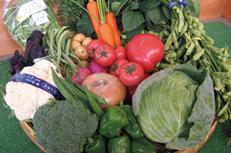 道の駅アグリパークゆめすぎと