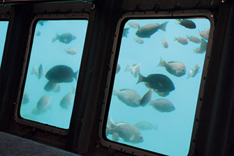 道の駅伊藤マリンタウン