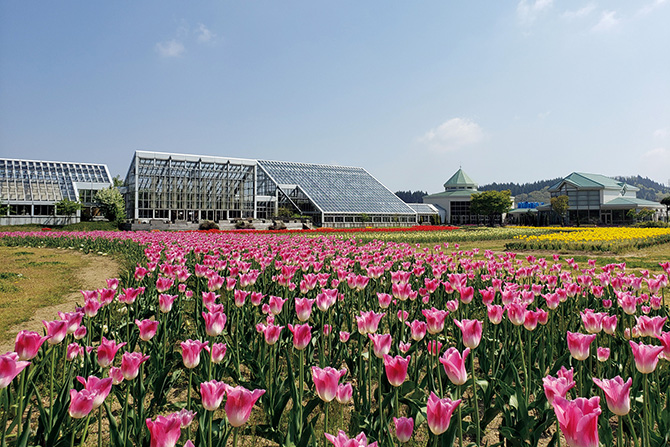 道の駅しょうわ ブルーメッセあきた