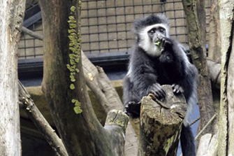 八木山動物公園フジサキの杜
