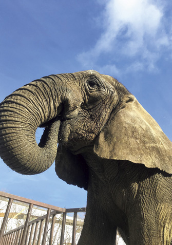 東北サファリパーク