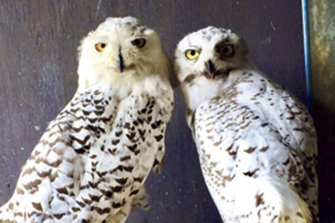 東北サファリパーク