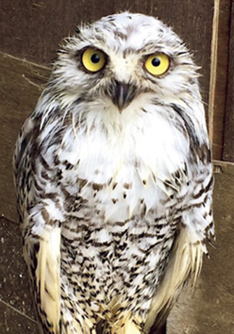 東北サファリパーク