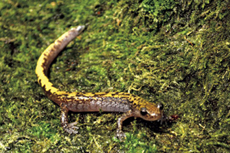 青森県営浅虫水族館