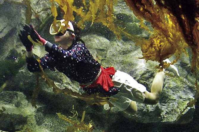 久慈の海の水族館 もぐらんぴあ水族館