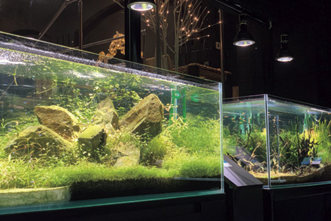 錦ケ丘ヒルサイドモール アクアテラス錦ケ丘